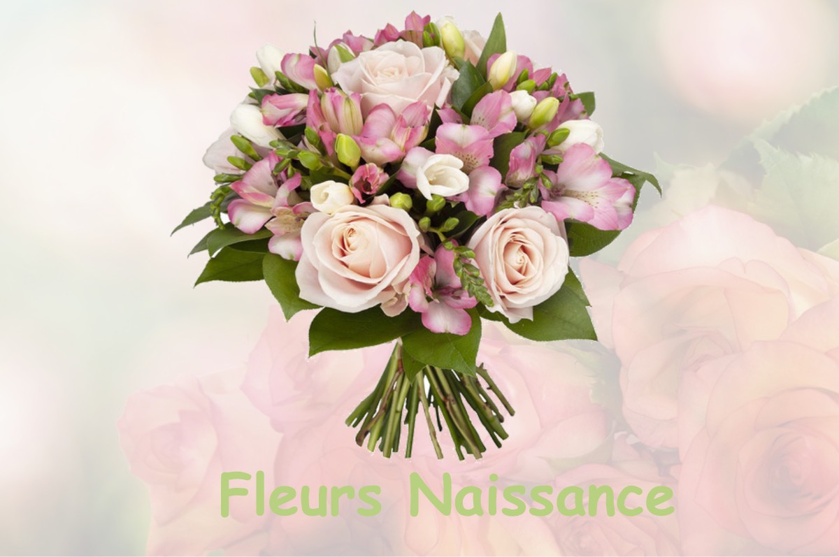 fleurs naissance FLAMETS-FRETILS